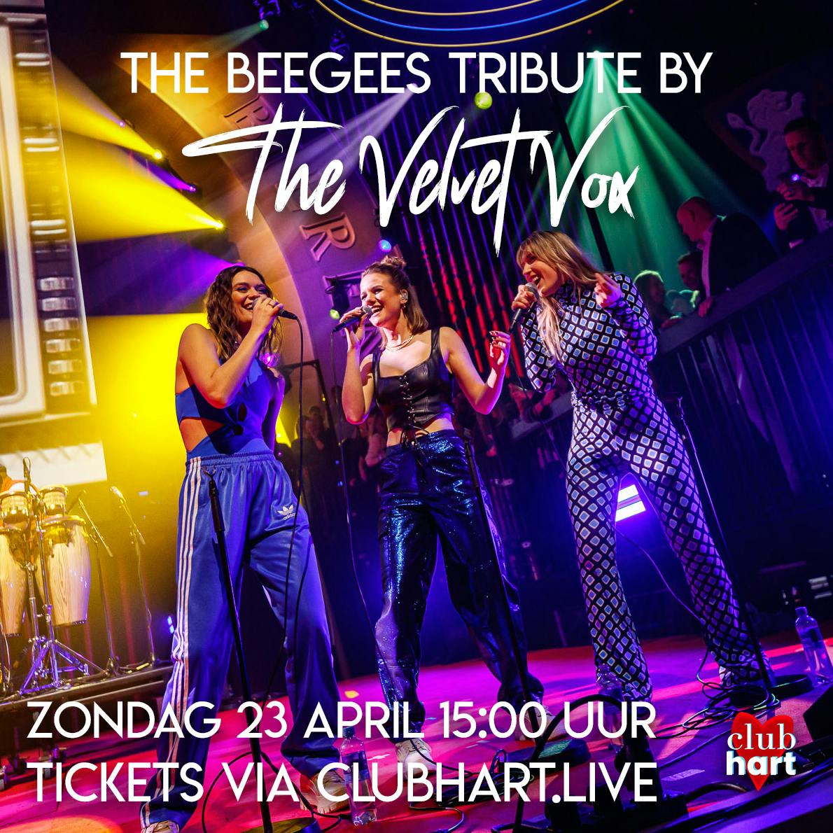 The Beegees Tribute By The Velvet Vox (middag show)